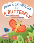 Image for From a Caterpillar to a Butterfly