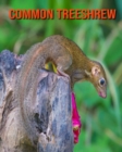 Image for Common Treeshrew : Amazing Facts &amp; Pictures