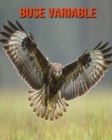 Image for Buse Variable : Informations Etonnantes &amp; Images