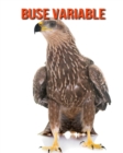 Image for Buse Variable