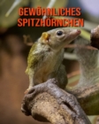 Image for Gewoehnliches Spitzhoernchen : Schoene Bilder &amp; Kinderbuch mit interessanten Fakten uber Gewoehnliches Spitzhoernchen