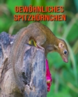 Image for Gewoehnliches Spitzhoernchen : Erstaunliche Fakten &amp; Bilder