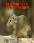 Image for Gewoehnliches Spitzhoernchen