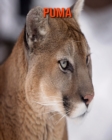 Image for Puma : Schoene Bilder &amp; Kinderbuch mit interessanten Fakten uber Puma