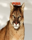 Image for Puma : Sagenhafte Fotos &amp; Buch mit lustigem Wissen uber Puma fur Kinder