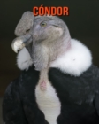 Image for Condor : Imagenes asombrosas y datos curiosos