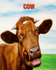 Image for Cow : Amazing Photos &amp; Fun Facts Book About Cow For Kids