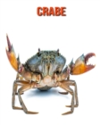 Image for Crabe : Photos Etonnantes &amp; Recueil d&#39;Informations Amusantes Concernant les Crabe pour Enfants