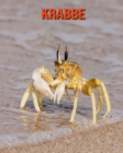 Image for Krabbe : Schoene Bilder &amp; Kinderbuch mit interessanten Fakten uber Krabbe