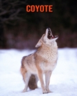 Image for Coyote