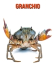 Image for Granchio : Foto stupende e fatti divertenti Libro sui Granchio per bambini
