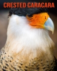 Image for Crested Caracara : Amazing Facts &amp; Pictures
