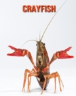 Image for Crayfish : Amazing Photos &amp; Fun Facts Book About Crayfish For Kids
