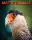 Image for Crested Caracara