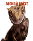 Image for Gecko a Crete : Recueil pour Enfants de Belles Images &amp; d&#39;Informations Interessantes Concernant les Gecko a Crete