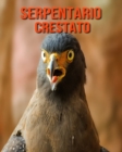 Image for Serpentario crestato : Foto stupende e fatti divertenti Libro sui Serpentario crestato per bambini