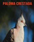 Image for Paloma crestada