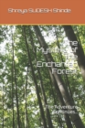 Image for The Mystery of the Enchanted Forest