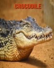 Image for Crocodile