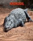 Image for Krokodil : Erstaunliche Fakten &amp; Bilder