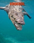 Image for Krokodil : Sagenhafte Fotos &amp; Buch mit lustigem Wissen uber Krokodil fur Kinder