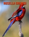Image for Rosella cremisi : Immagini bellissime e fatti interessanti Libro per bambini sui Rosella cremisi
