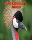 Image for Gru coronata grigia