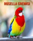 Image for Rosella cremisi : Foto stupende e fatti divertenti Libro sui Rosella cremisi per bambini
