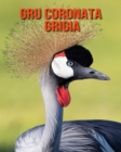 Image for Gru coronata grigia : Foto stupende e fatti divertenti Libro sui Gru coronata grigia per bambini