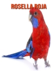 Image for Rosella roja : Imagenes asombrosas y datos curiosos