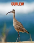 Image for Curlew
