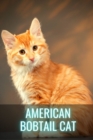 Image for American Bobtail Cat