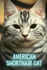 Image for American Shorthair Cat