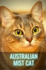 Image for Australian Mist Cat : Your Complete Breed Information Guide