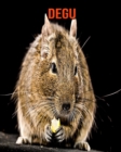 Image for Degu : Beautiful Pictures &amp; Interesting Facts Children Book About Degu