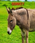 Image for Donkey : Beautiful Pictures &amp; Interesting Facts Children Book About Donkey