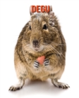 Image for Degu : Amazing Facts &amp; Pictures