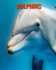 Image for Dolphins