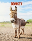 Image for Donkey : Amazing Photos &amp; Fun Facts Book About Donkey For Kids