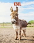 Image for Esel : Sagenhafte Fotos &amp; Buch mit lustigem Wissen uber Esel fur Kinder