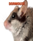 Image for Dormouse