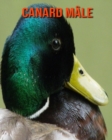 Image for Canard Male