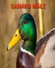 Image for Canard Male : Photos Etonnantes &amp; Recueil d&#39;Informations Amusantes Concernant les Canard Male