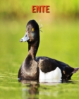 Image for Ente