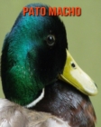 Image for Pato macho : Imagenes asombrosas y datos curiosos