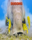Image for Dugong