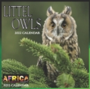 Image for Little Owls CALENDAR 2022
