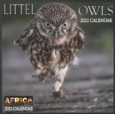 Image for Little Owls CALENDAR 2022
