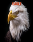 Image for Eagle : Amazing Facts &amp; Pictures