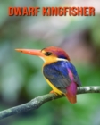 Image for Dwarf Kingfisher